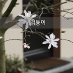 [좋은글] [좋은글]  업둥이