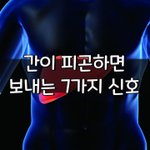 [좋은글] [좋은글] 간이 <b>피곤</b>하면 보내는 7가지 신호