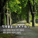 [좋은글] [좋은글] 악목불음惡木不蔭 - 나쁜 나무는 그늘도 지지...