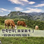 [좋은글] [좋은글] 판축반우版築飯牛 - 성을 쌓고 소를 먹이다...