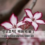 [좋은글] 명모호치明眸皓齒 - 맑은 눈동자와 하얀 치아, <b>미인</b>의...