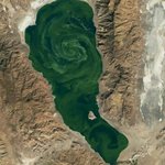 녹조 현상이 생기는 <b>근본</b>적 이유.jpg