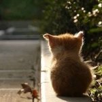 내 <b>환상</b>이 다깨졋어