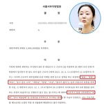 "밥통, 띨띨, 멍청, 한심"…민희진, 직괴 <b>판결문</b>과 유령 변호사