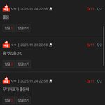 라이즈 팬들 댓조작