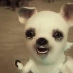 라이즈는 ㄹㅇ 아까움