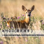 사슴은 누구의 손에 죽는가, 세력이 <b>비슷</b>하여 승부를 가리지 못함