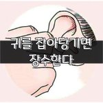 [좋은글] [좋은글] 귀를 잡아당기면 장수한다