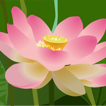 [좋은글] [좋은글] 행복하게 <b>나이</b>드는 비법 2