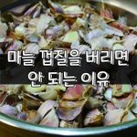 [좋은글] [좋은글] ○ 마늘 껍질을 버리면 안 되는 이유