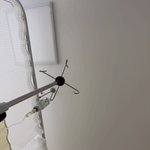 나 <b>독감</b>인데 왜 안 아프지