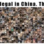 [사뭇진지] 중국 고양이 학대 막을 마지막 기회임