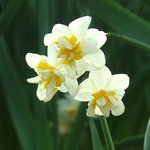 [테오시스] 남편 vs 아내