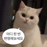 <b>니</b>가