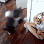 <b>어우</b>