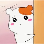[하고싶은말] 왜 자꾸