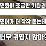 [개념없다] <b>연화</b>라는 이름이 이상한데 일 하는 사람 이름 같나요...