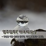 [좋은글] 명주암투明珠暗投 - 구슬을 <b>어둠</b> 속으로 던지다, 가치를...