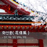 [좋은글] [좋은글] 화신풍.花信風 - 꽃이 피는 것을 알리는 바람