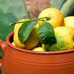 [좋은글] [좋은글] 행복의 항아리