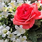 [좋은글] [좋은글] 가장 중요한 사람