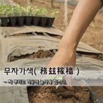 [좋은글] 무자가색務玆稼穡 - 씨 뿌리고 거두어 <b>농사</b>에 힘쓰다.