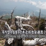 必通蠹 - 나무가 부러지는 것은 좀 <b>벌레</b>가 갉아먹었기 때문이다.