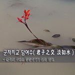 [좋은글] [좋은글] 군자지교 담여수君子之交 淡如水 - 군자의 사귐은...
