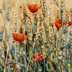 [좋은글] [좋은글] 나를 변화시키는 방법 10가지