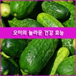 [좋은글] [좋은글] ◇<b>오이</b>의 놀라운 건강 효능