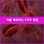 [좋은글] [좋은글] ◇ 피를 해독하는 4가지 방법