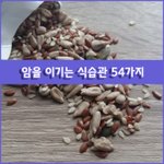 [좋은글] [좋은글] ◇암을 이기는 식습관 54가지