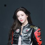 레이싱 자켓 함부로 입히면 안 되는 이유