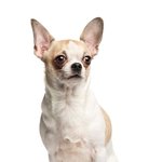 내가 내 안의 결핍을 이해해야할까..