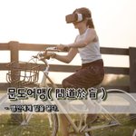 [좋은글] [좋은글] 문도어맹問道於盲 – 맹인에게 길을 묻다.