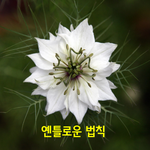 [좋은글] [좋은글] ◇옌<b>틀</b>로운 법칙