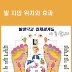 [좋은글] [좋은글] ◇ 남자 &amp; <b>여자</b>를 위한 발 마사지 지압