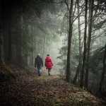 [좋은글] [좋은글] ◇ 혈관회춘! 혈관을 10년 젊게 만드는 비법