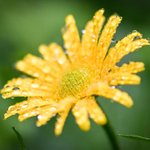 [좋은글] [좋은글] 천냥빚도 갚는 말의 법칙 18계