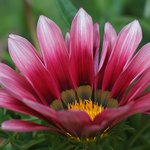 [좋은글] [좋은글] 아무런 <b>자취</b>도 남기지 마라.