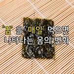 [좋은글] [좋은글] ◇ 김'을 매일 먹으면 나타나는 몸의 변화