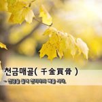 [좋은글] 천금매골千金買骨 - 천금을 들여 천리마의 뼈를 <b>사다</b>.