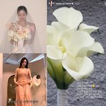 함은정, 결혼 D-1..6천만원 웨딩드레스 <b>피팅</b> "너무 떨린다"