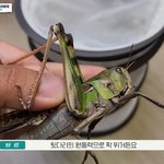 <b>이런사람</b>  신기함