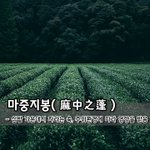 마중지봉麻中之蓬 - 삼밭 가운데서 자라는 쑥, <b>주위</b>환경에 따라 영향을...