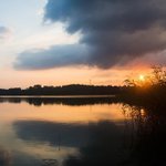 [좋은글] [좋은글] ◇ 장수와 수명의 상관관계