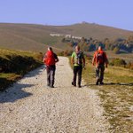 [좋은글] [좋은글] ◇ 모든 <b>문제</b>의 해결은 스스로의 몫이다