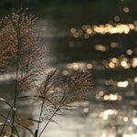 [좋은글] [좋은글] ◇ 대장이 <b>깨끗</b>해야 병에 걸리지 않는다