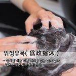 [좋은글] [좋은글] 위정유목爲政猶沐 - 정치를 하는 것은 머리를...