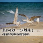 [좋은글] 일결자웅一決雌雄 - 한 번에 우열이나 <b>승부</b>를 결정하다.